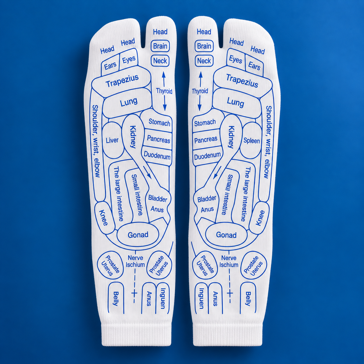 Guided Massage Socks